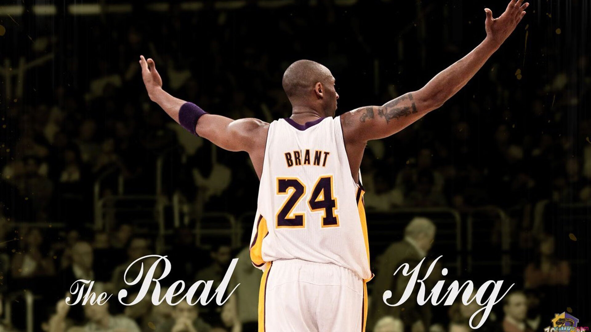 当魔术封锁黄蜂，恩比德在欧冠半决赛的接管艺术