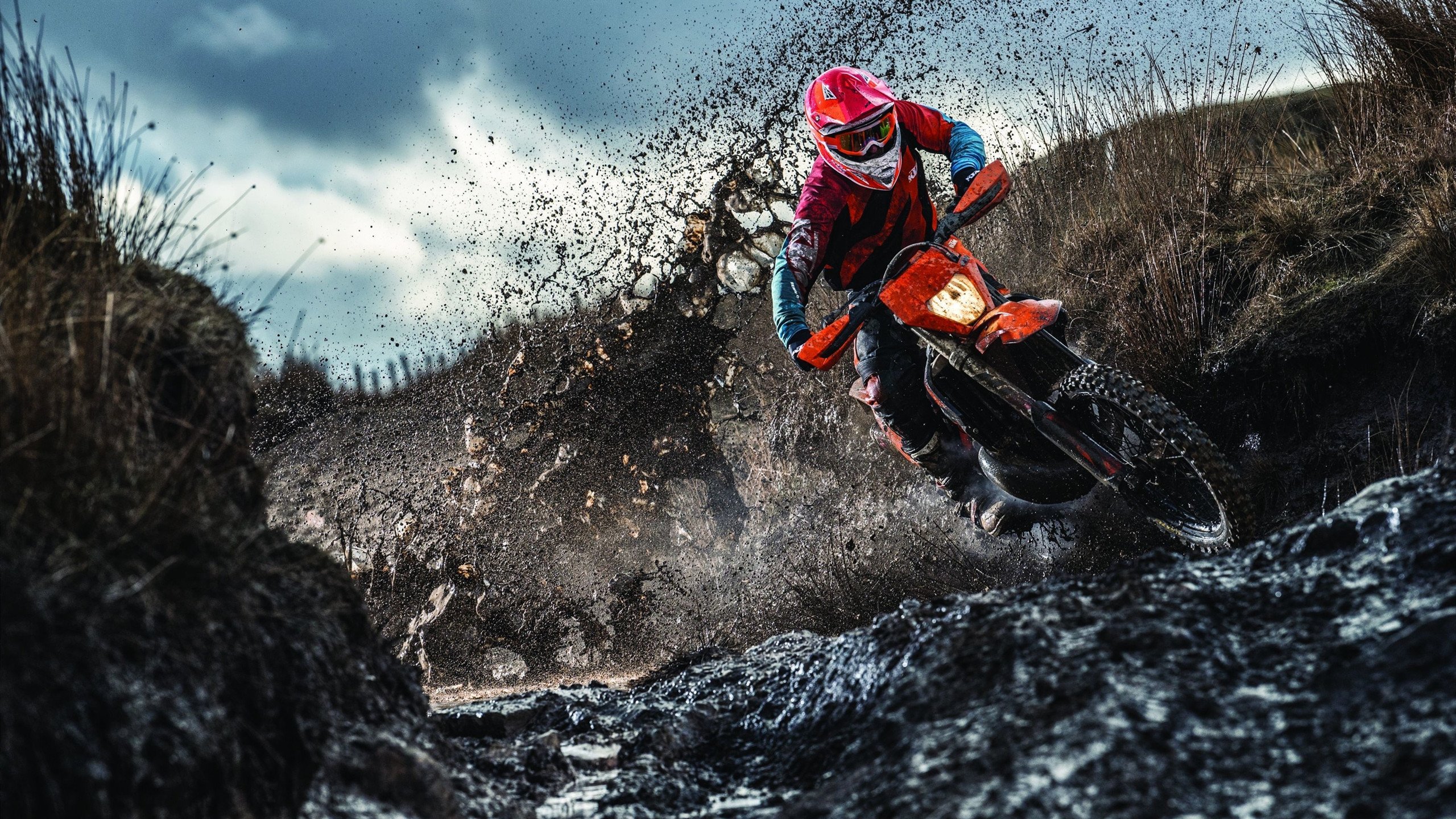 伦纳德冰封北境狼群,当凯尔特人遭遇森林狼,他用实力重定义唯一性